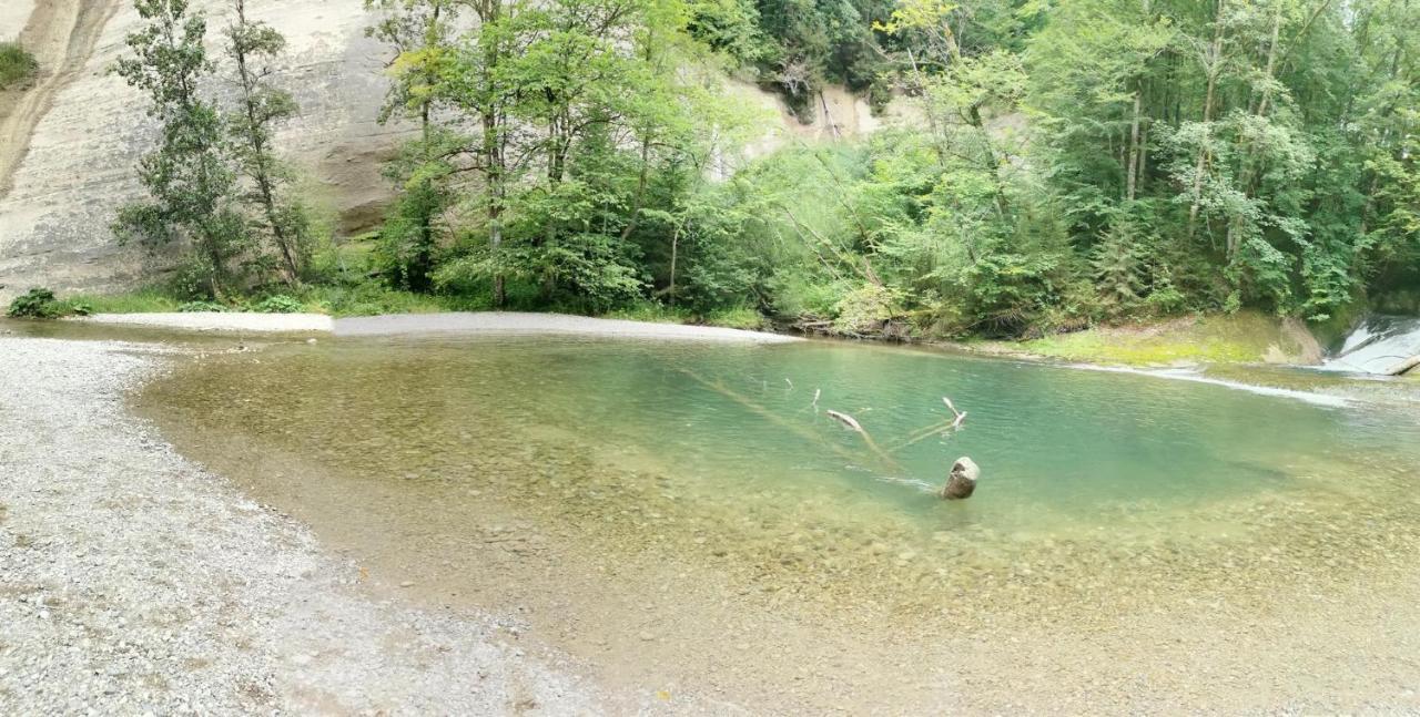 Ferienwohnung Nest Wangen im Allgäu Extérieur photo