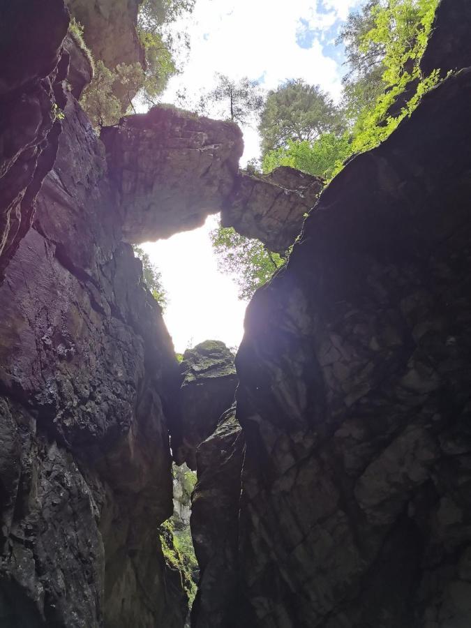 Ferienwohnung Nest Wangen im Allgäu Extérieur photo