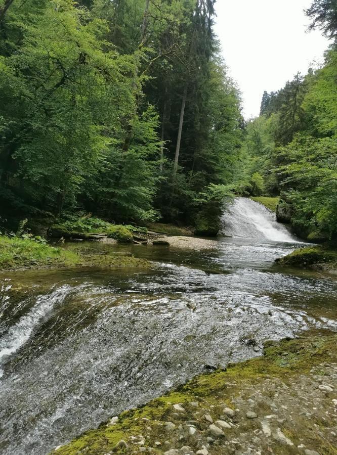 Ferienwohnung Nest Wangen im Allgäu Extérieur photo